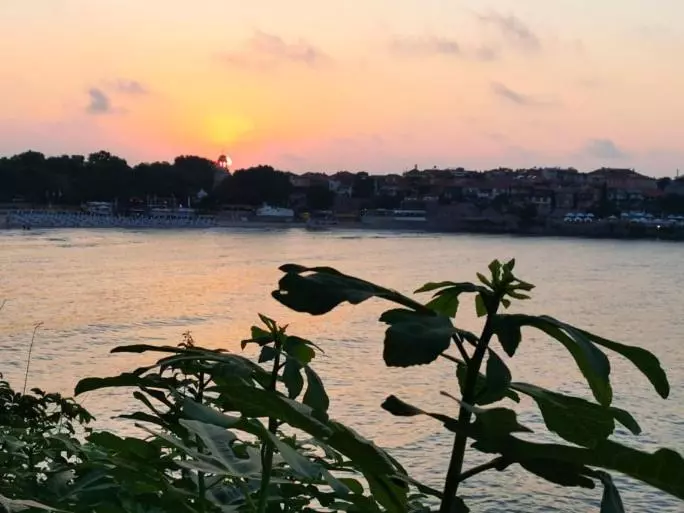 پانسیون Guest House Dimovi