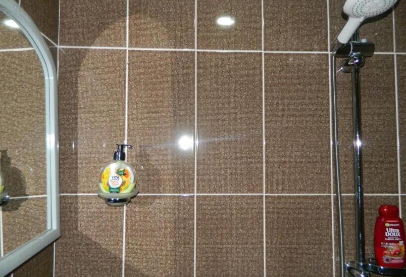 پانسیون Castle