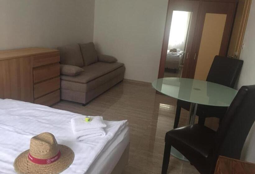 膳宿费 Penzion Za Radnicí