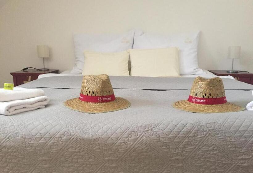 膳宿费 Penzion Za Radnicí