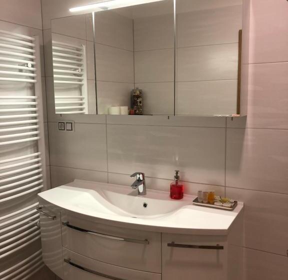 膳宿费 Penzion Za Radnicí