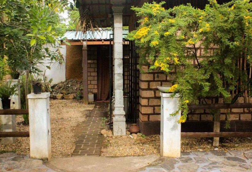 פנסיון The Mango Leaf