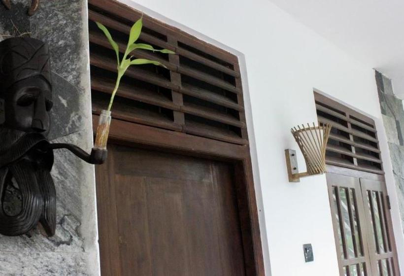 פנסיון The Mango Leaf