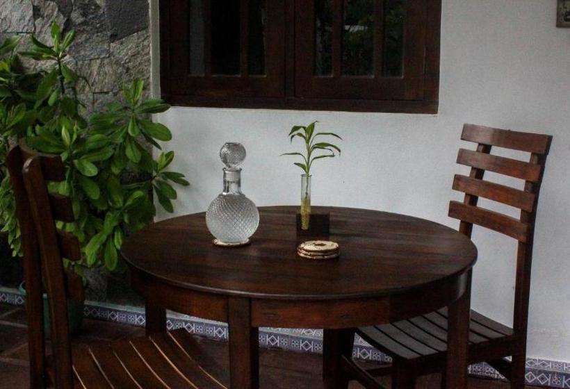 פנסיון The Mango Leaf