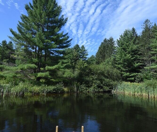 Bed and Breakfast The Featherbed Inn