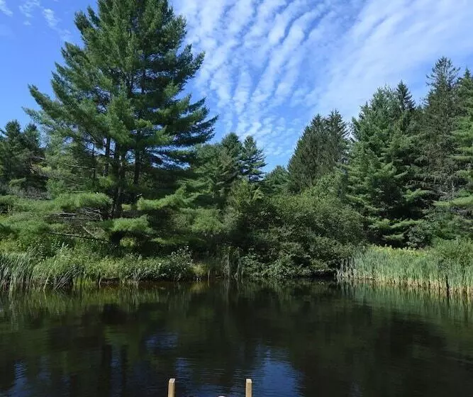 Aamiaismajoitus (B&B) The Featherbed Inn