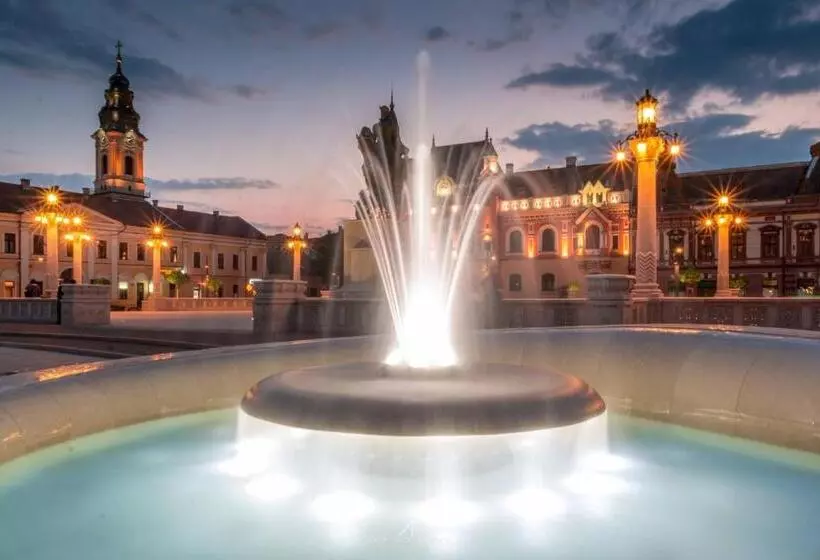 Cristi S Rooms   Pensiune