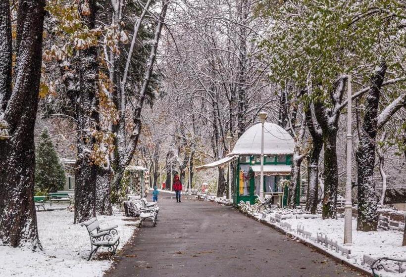 Cristi S Rooms Pensiune