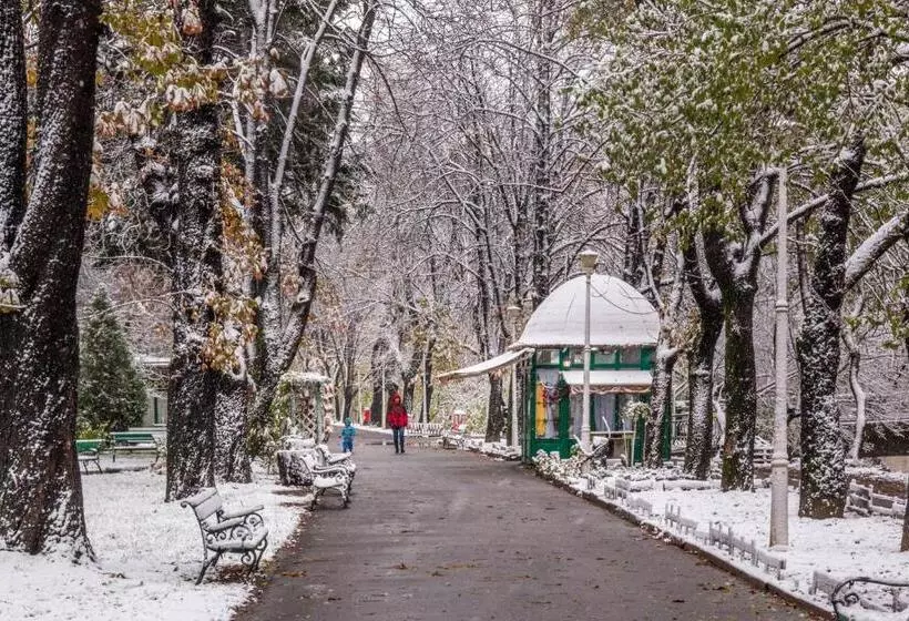 Cristi S Rooms   Pensiune