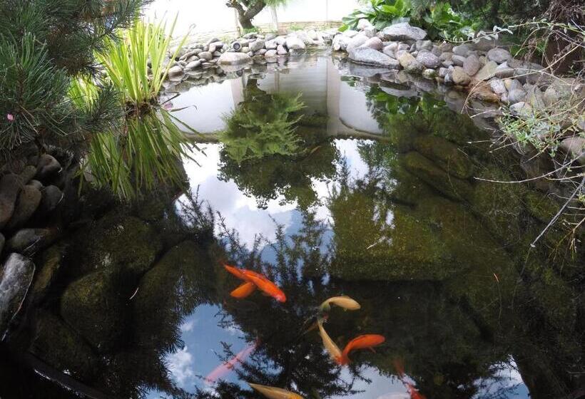 Cristi S Rooms Pensiune