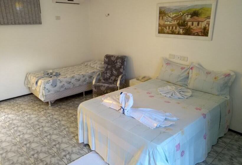 ペンション Viana Palace