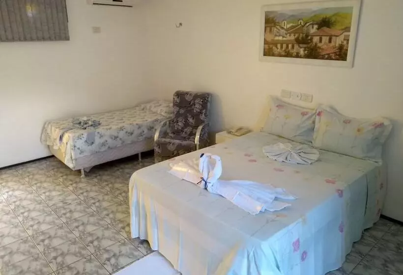 Majatalo Viana Palace