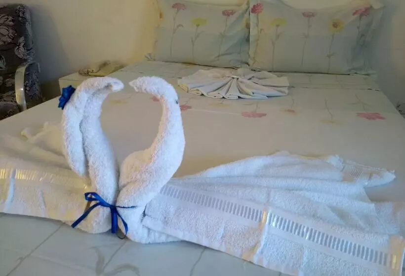 Majatalo Viana Palace