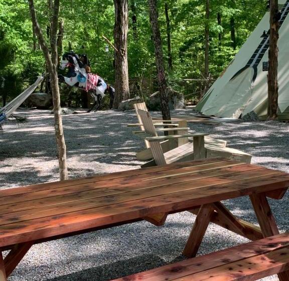 تختخواب و صبحانه Fox Pass Cabins