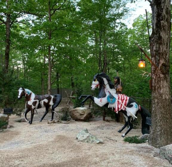 تختخواب و صبحانه Fox Pass Cabins