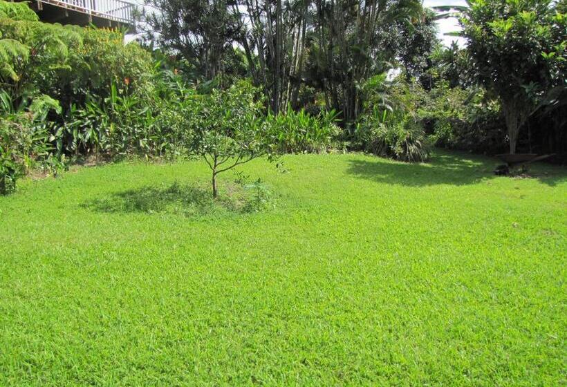 צימר Coffee Garden