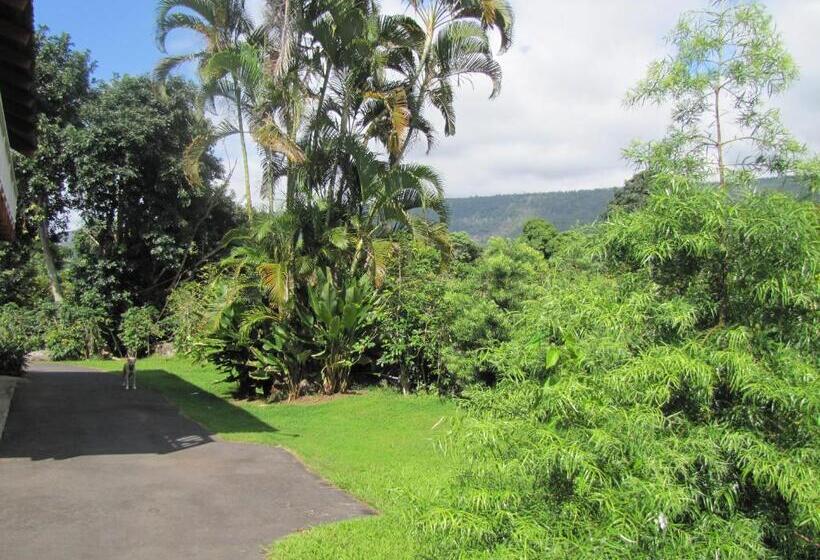 צימר Coffee Garden