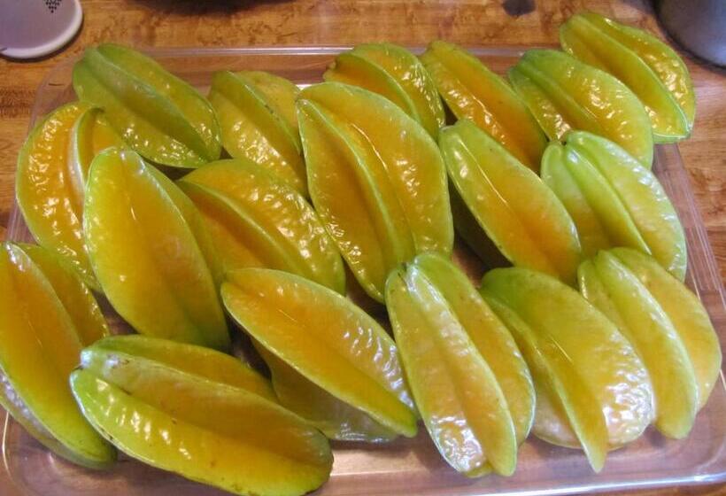 צימר Coffee Garden