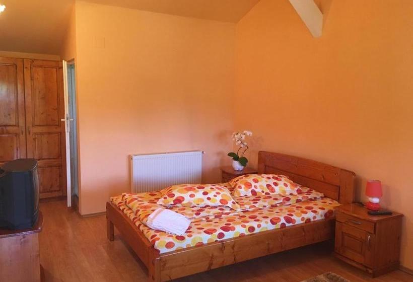 פנסיון Casa De Vacanță Orsi