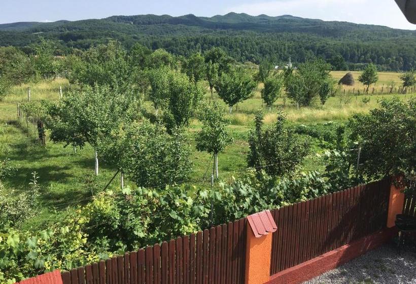 פנסיון Casa De Vacanță Orsi