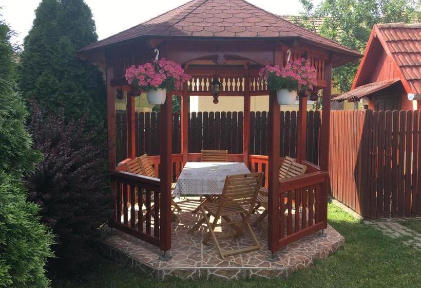 פנסיון Casa De Vacanță Orsi