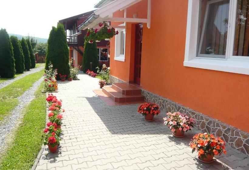 פנסיון Casa De Vacanță Orsi