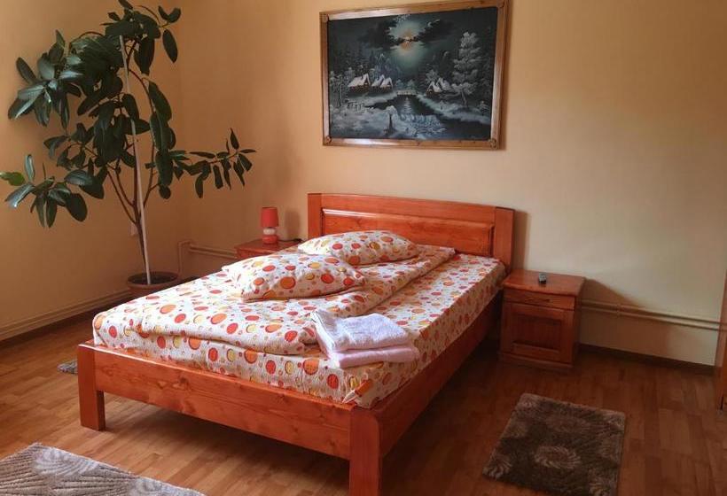 פנסיון Casa De Vacanță Orsi