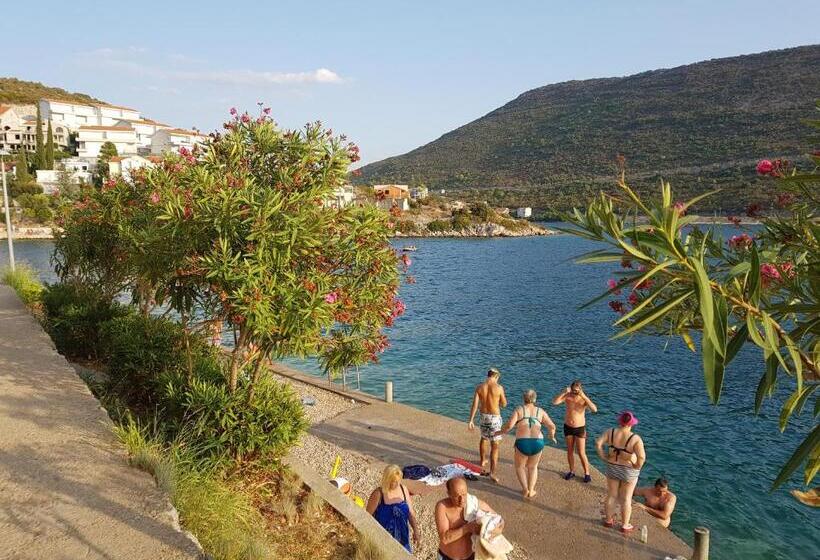 پانسیون Guest House Davorka