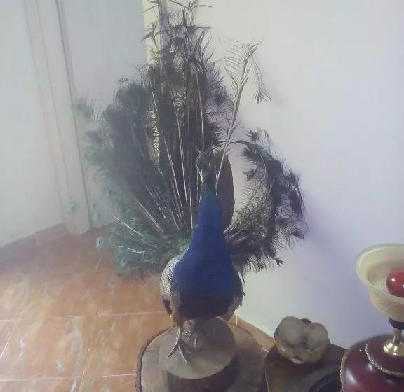 ペンション Karafil Guesthouse