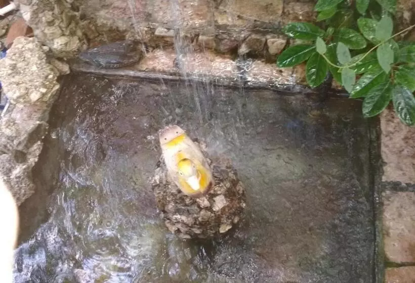 ペンション Karafil Guesthouse