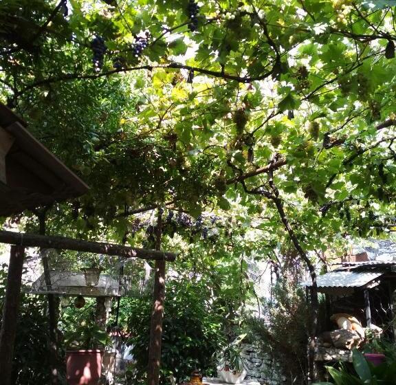 پانسیون Karafil Guesthouse