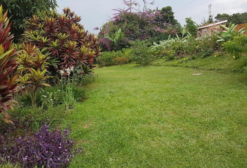 پانسیون Pineapple Guest House Entebbe