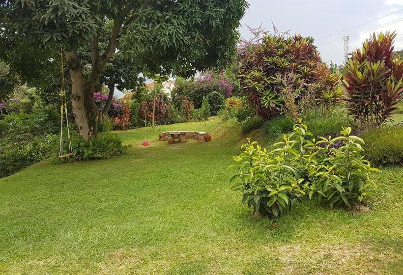 پانسیون Pineapple Guest House Entebbe