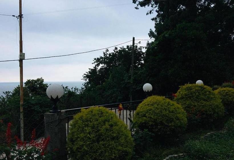 Pension Rezo's House