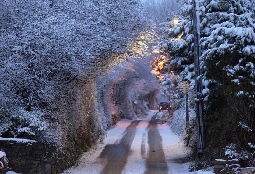 بنسيون Westport Heights