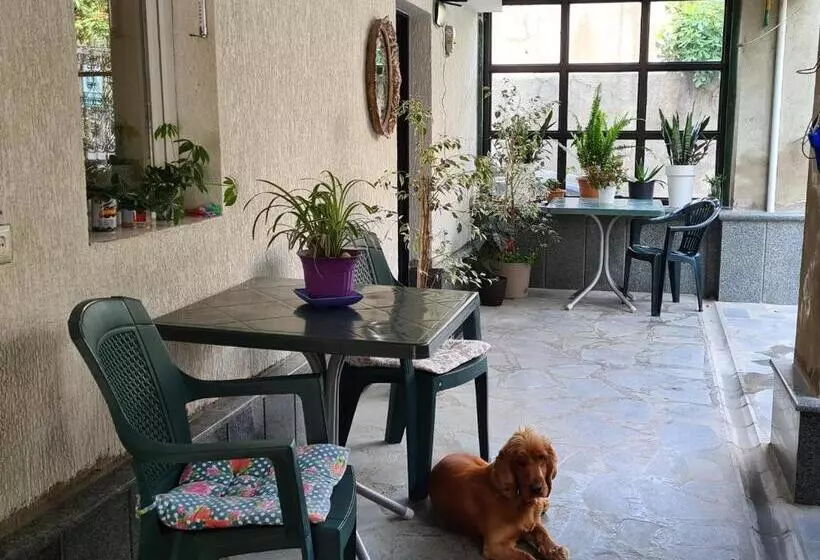 پانسیون Guest House Panda