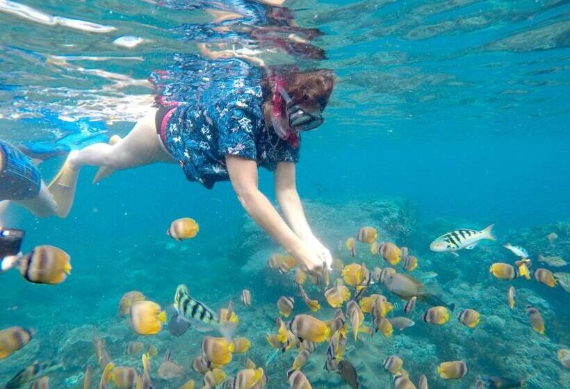 بنسيون 221 House Ceningan