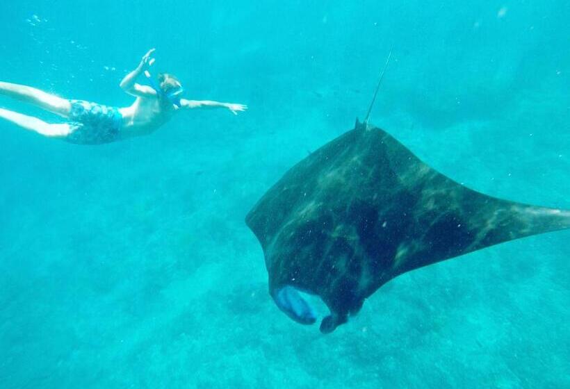 بنسيون 221 House Ceningan