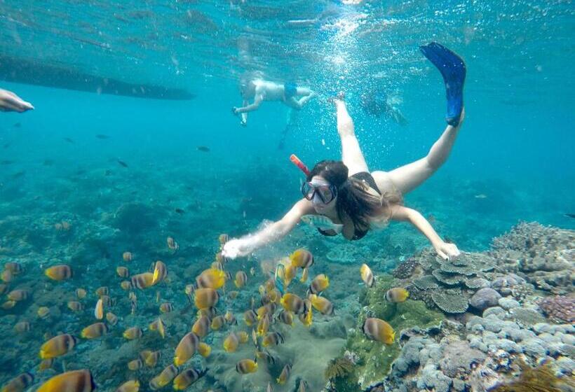 بنسيون 221 House Ceningan