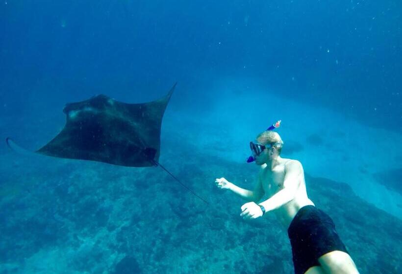 بنسيون 221 House Ceningan