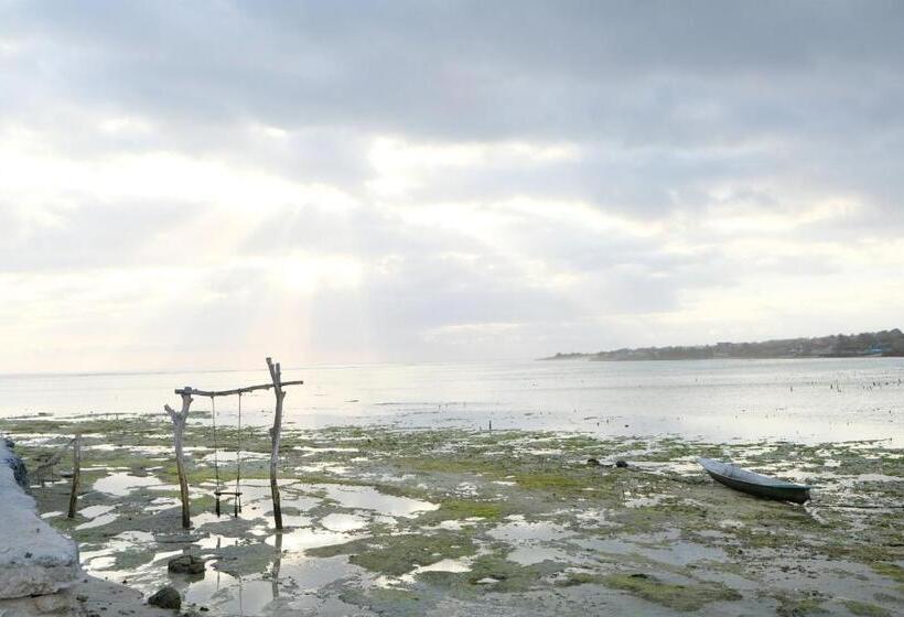 بنسيون 221 House Ceningan