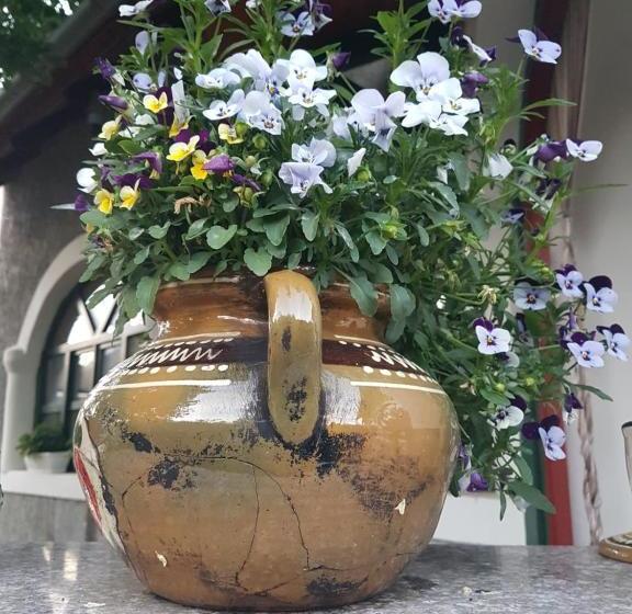 Пансион Fruzsi Vendégház