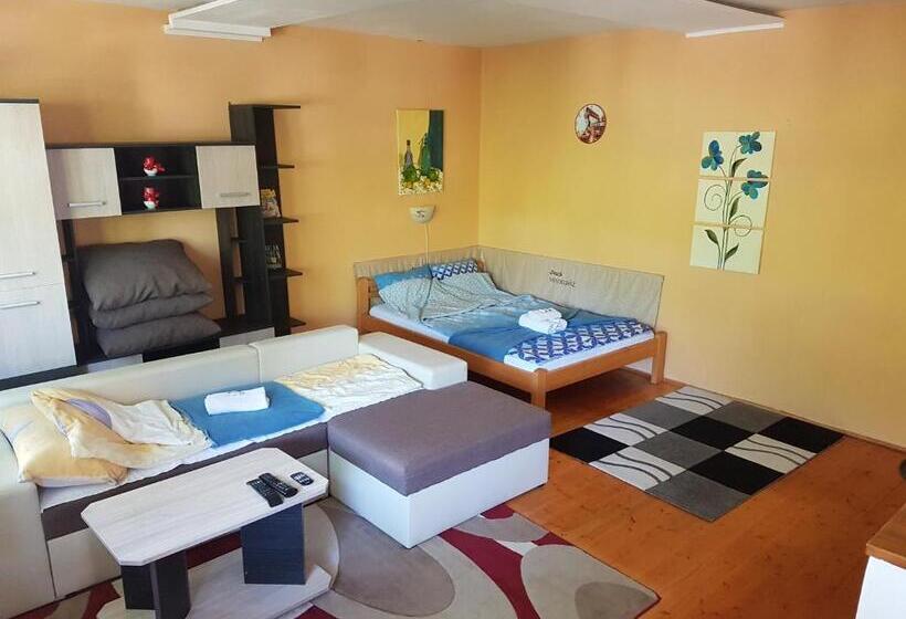 Пансион Fruzsi Vendégház