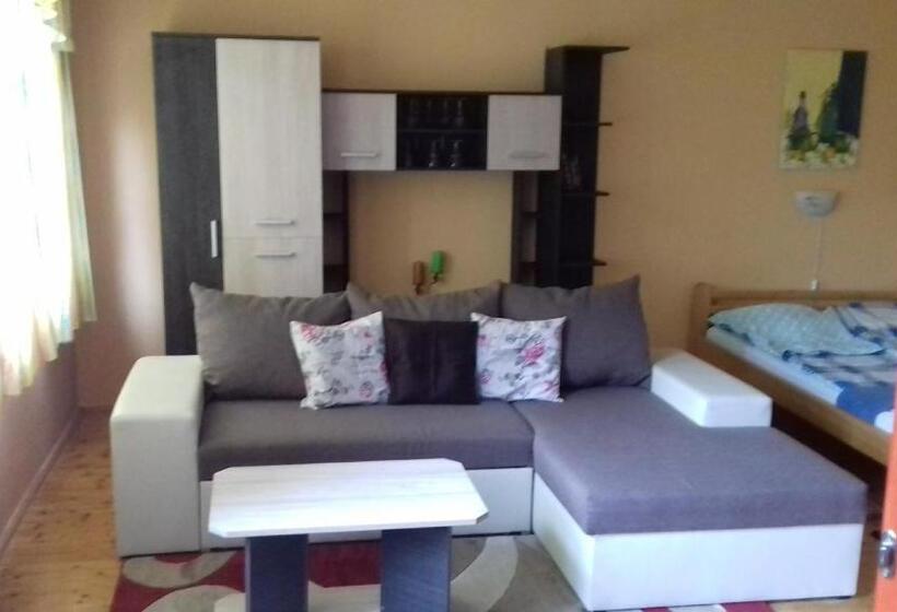 Пансион Fruzsi Vendégház