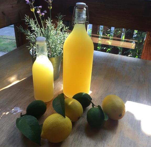 پانسیون Besedka