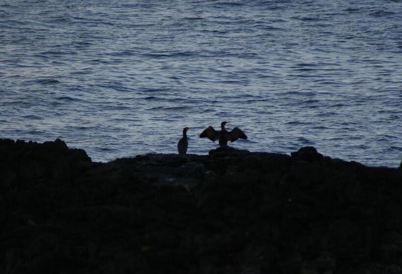 پانسیون Bikers Paradise