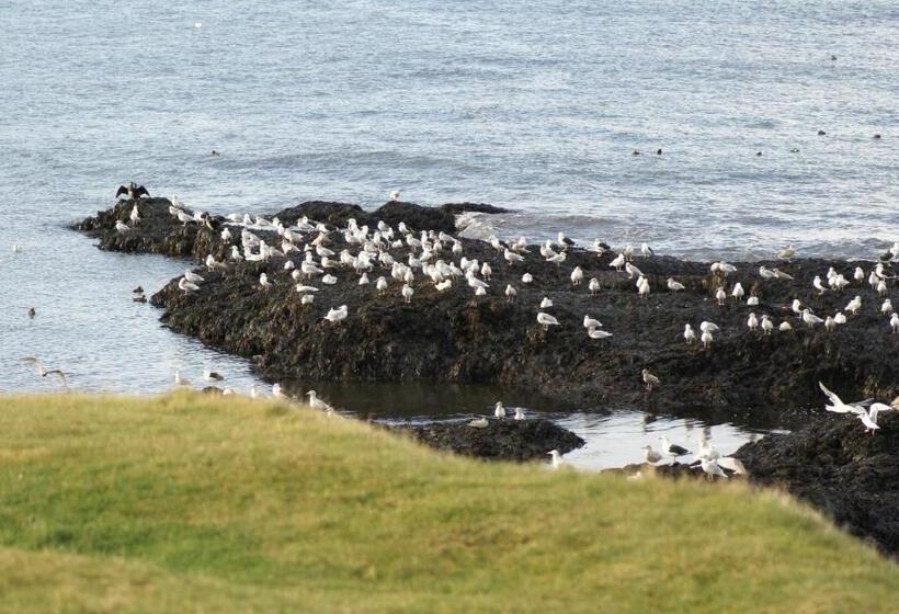 پانسیون Bikers Paradise