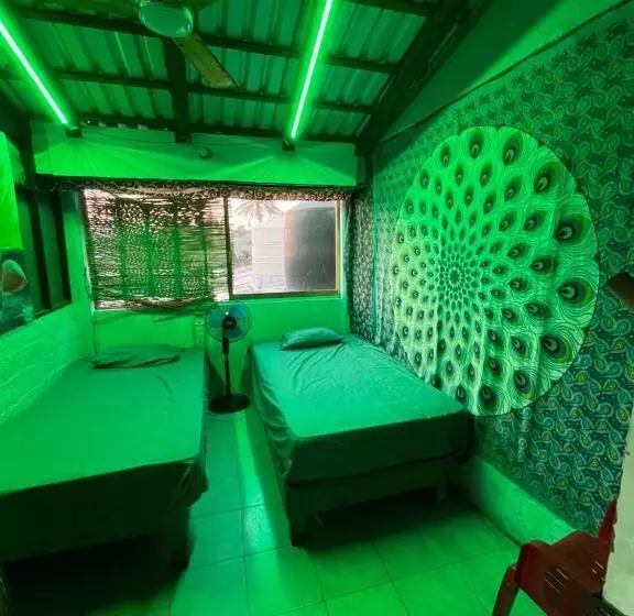 ペンション Pipeline Hostel