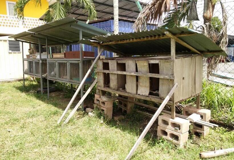 בית מלון כפרי Harum Manis Country House