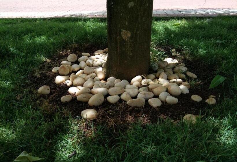 בית מלון כפרי Harum Manis Country House